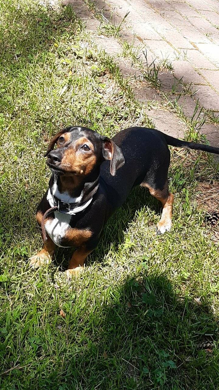 Фото Гостевого дома Усадьба Кругловых Чепош 106