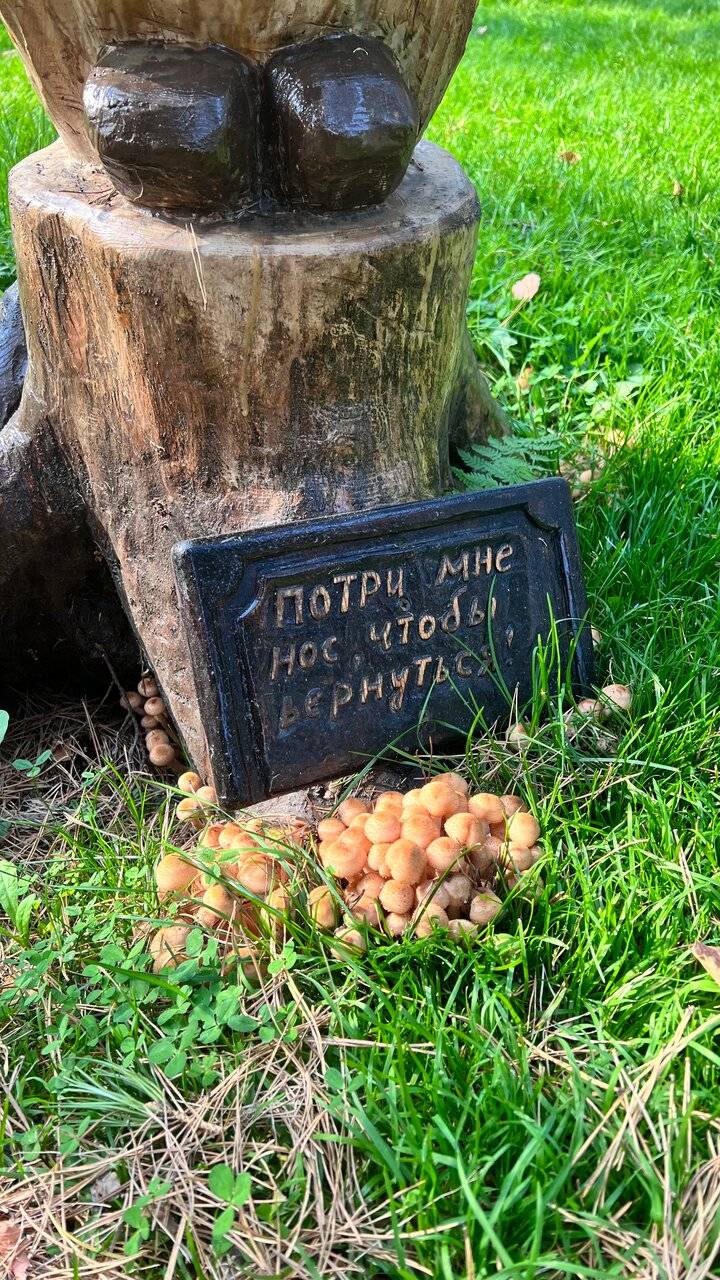 Фото Гостевого дома Усадьба Кругловых Чепош 58