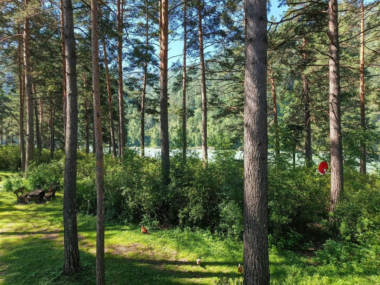 Фото Гостевого дома Усадьба Кругловых Чепош 113