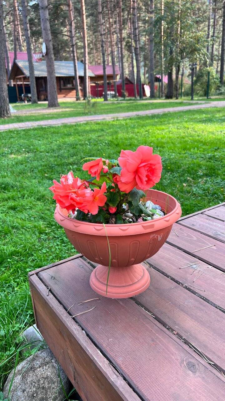 Фото Гостевого дома Усадьба Кругловых Чепош 51