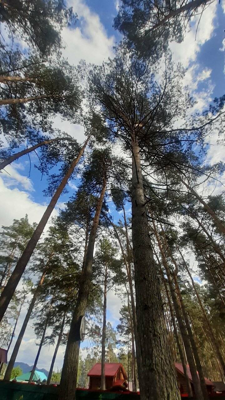 Фото Гостевого дома Усадьба Кругловых Чепош 107
