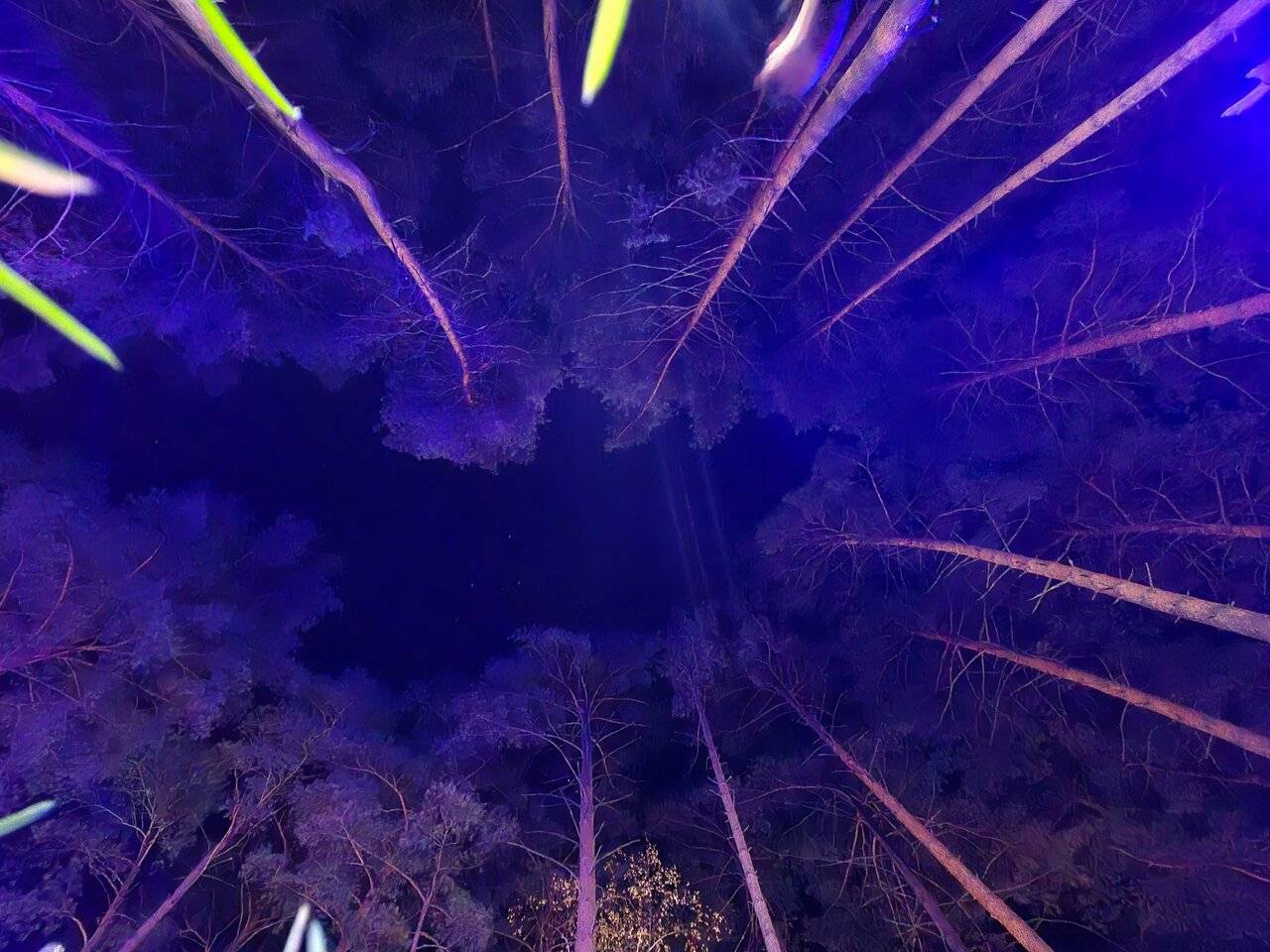 Фото Гостевого дома Усадьба Кругловых Чепош 70