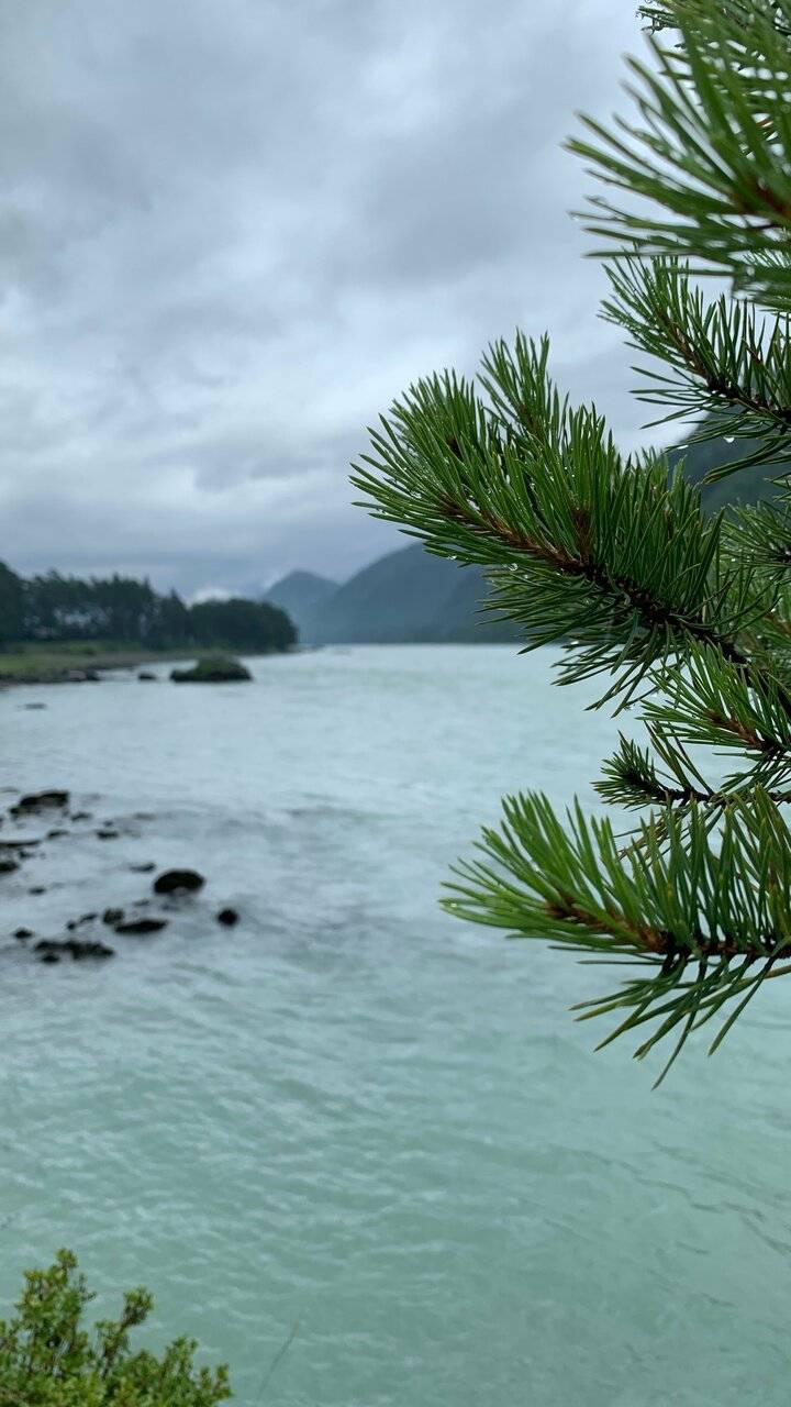 Фото Гостевого дома Усадьба Кругловых Чепош 15