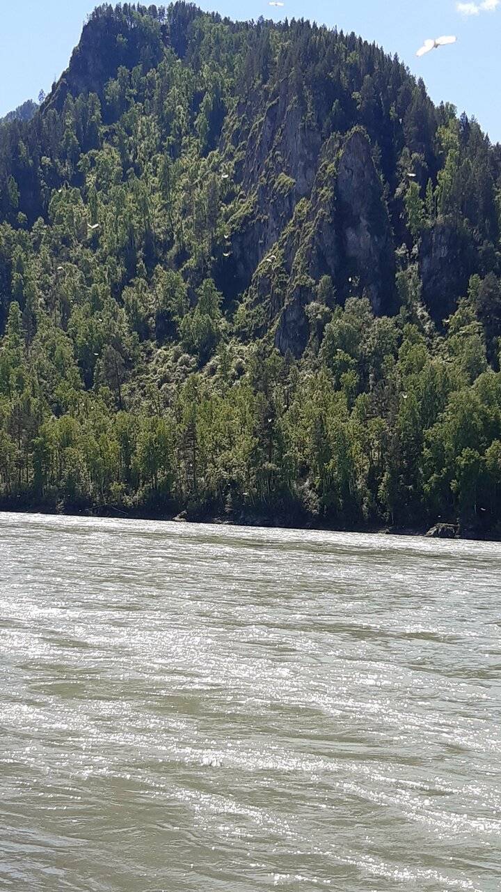 Фото Гостевого дома Усадьба Кругловых Чепош 110