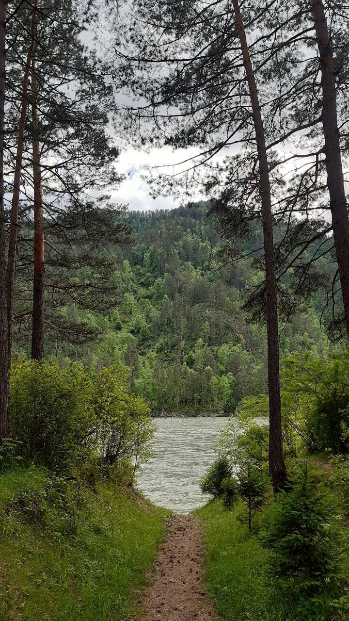 Фото Гостевого дома Усадьба Кругловых Чепош 109