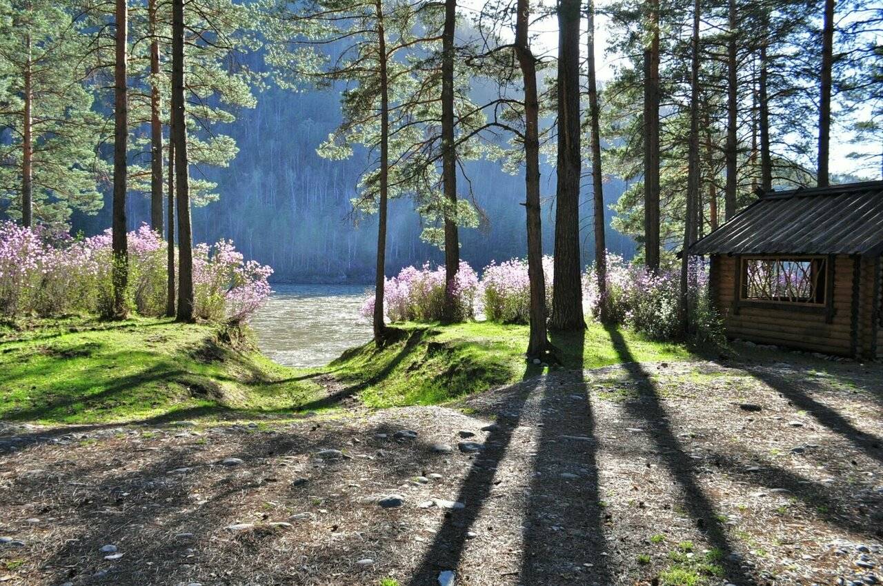 Фото Гостевого дома Усадьба Кругловых Чепош 11
