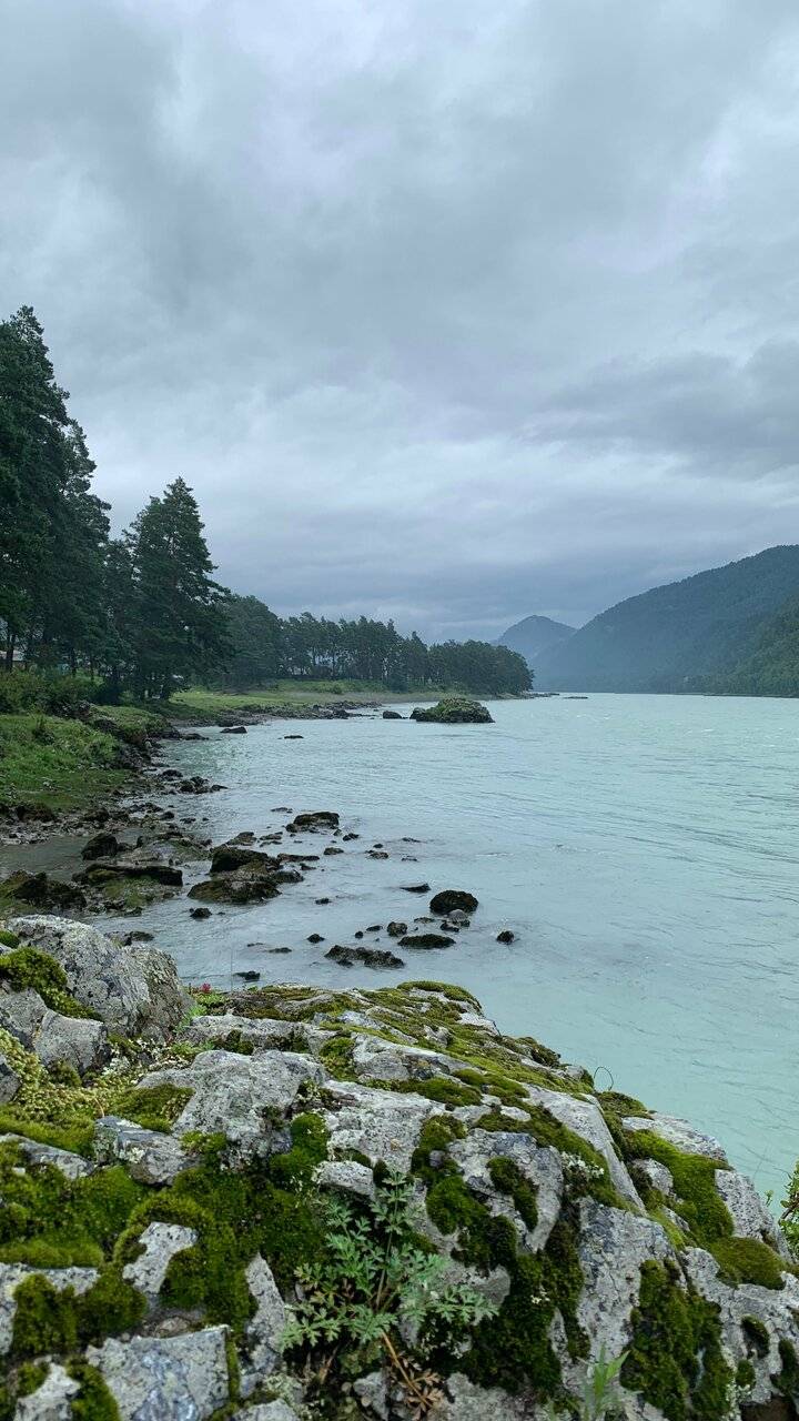 Фото Гостевого дома Усадьба Кругловых Чепош 4