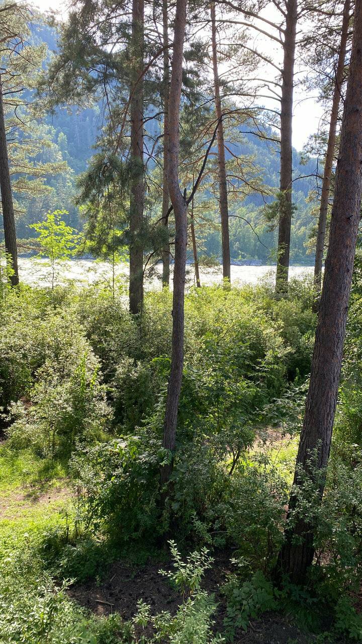 Фото Гостевого дома Усадьба Кругловых Чепош 79