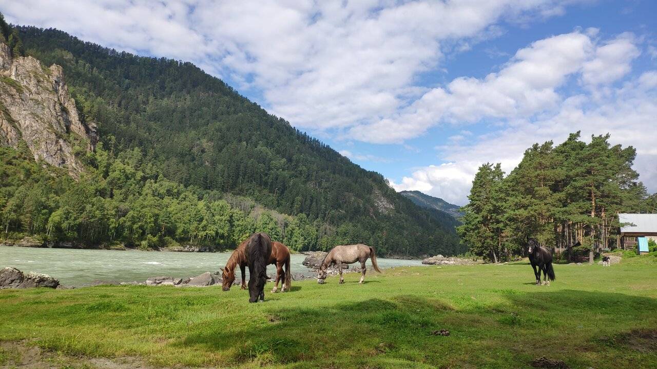 Фото Гостевого дома Усадьба Кругловых Чепош 50