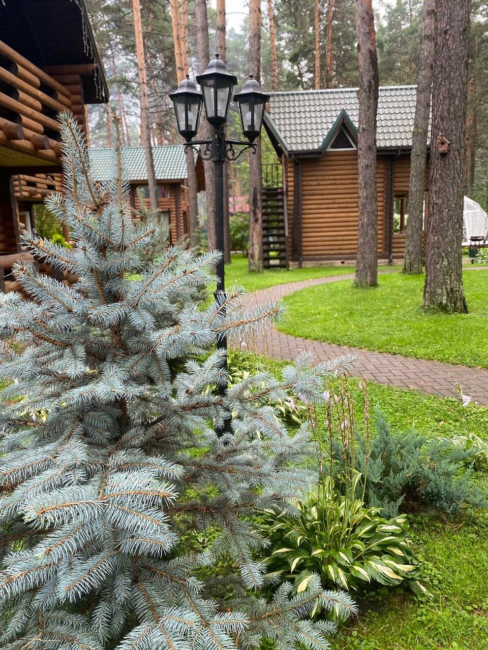 Фото Гостевого дома Усадьба Кругловых Чепош 114