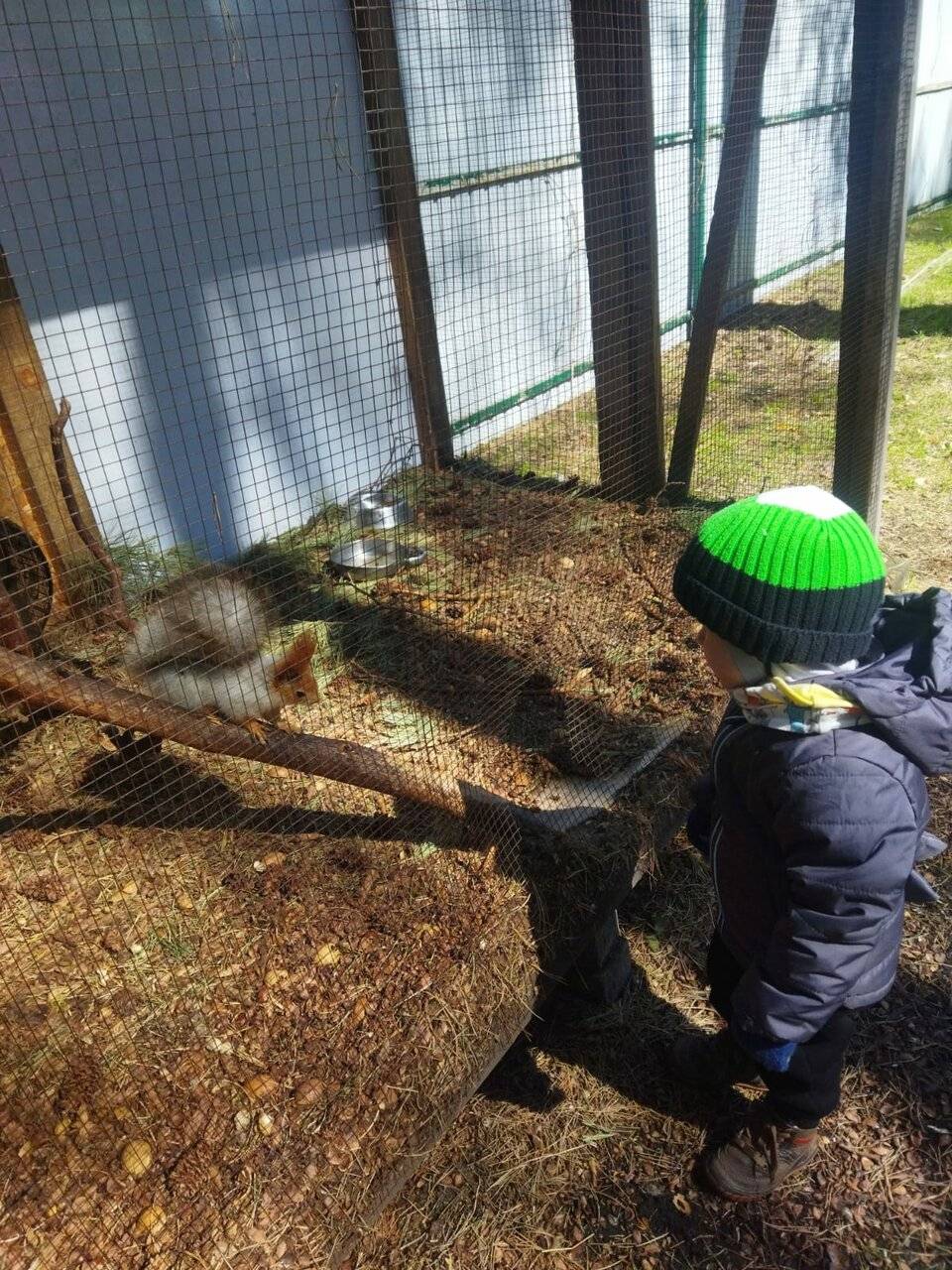 Фото Гостевого дома Усадьба Кругловых Чепош 93