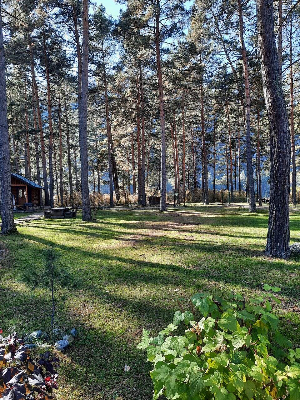 Фото Гостевого дома Усадьба Кругловых Чепош 55