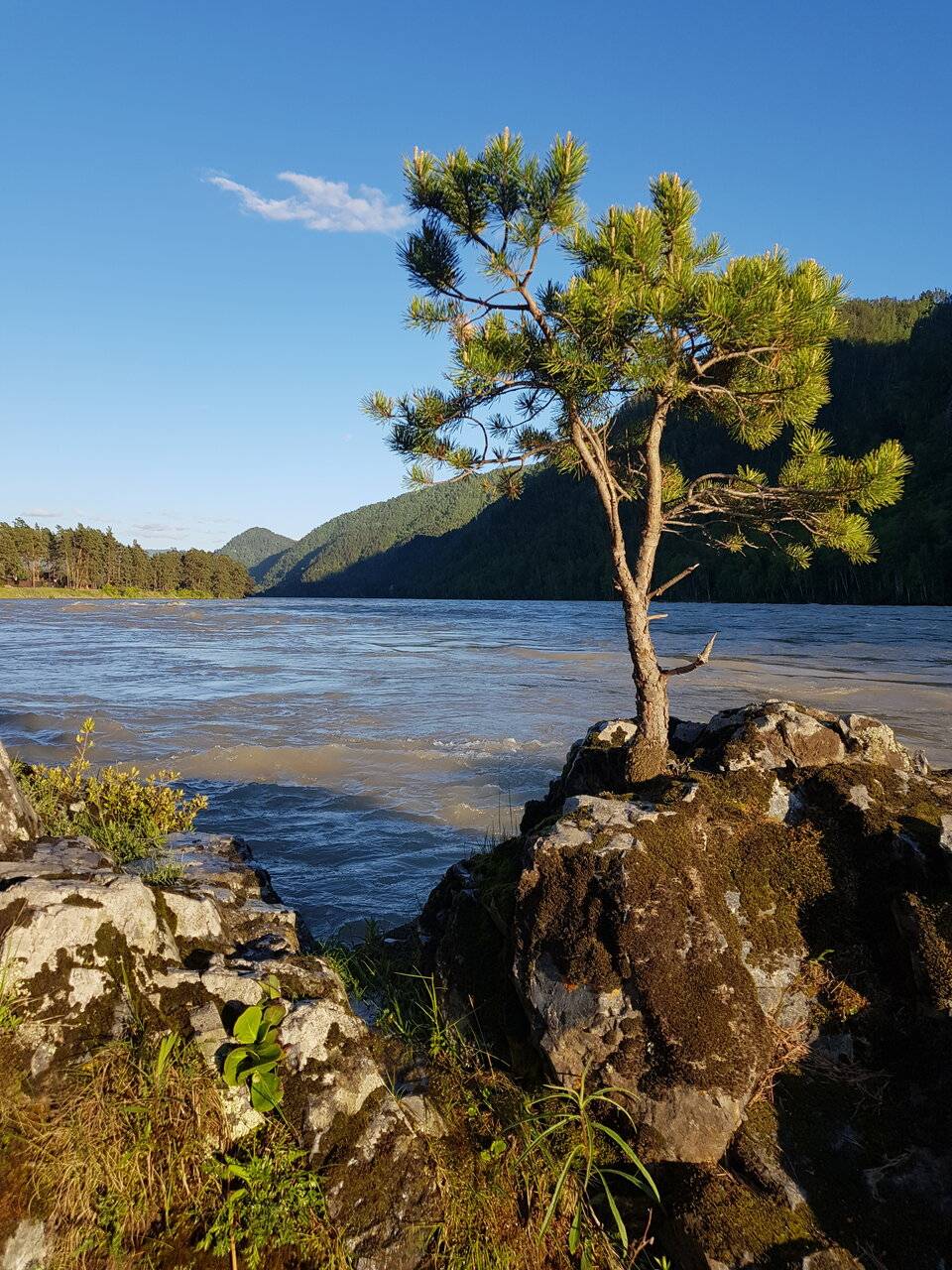 Фото Гостевого дома Усадьба Кругловых Чепош 83