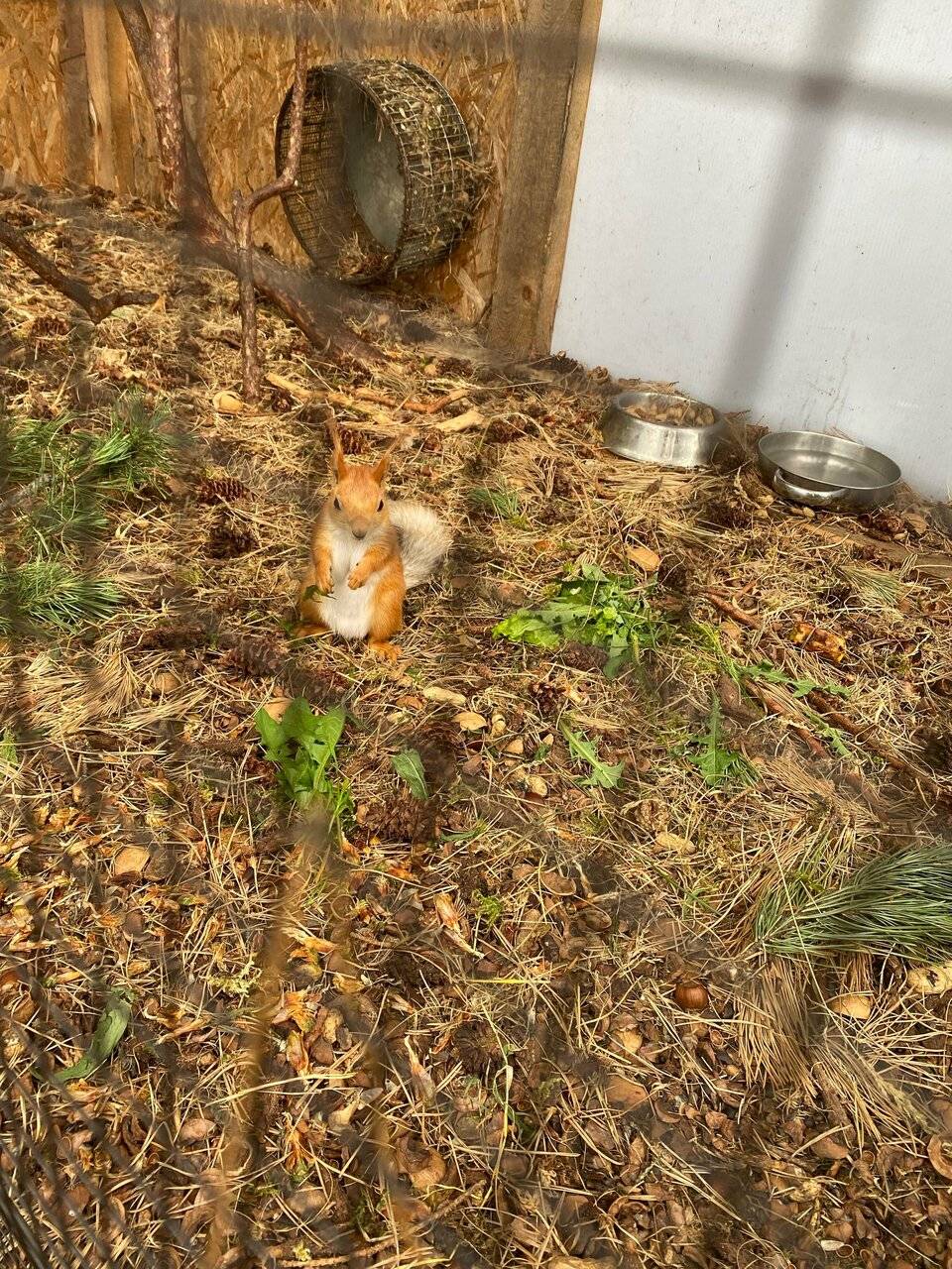 Фото Гостевого дома Усадьба Кругловых Чепош 68