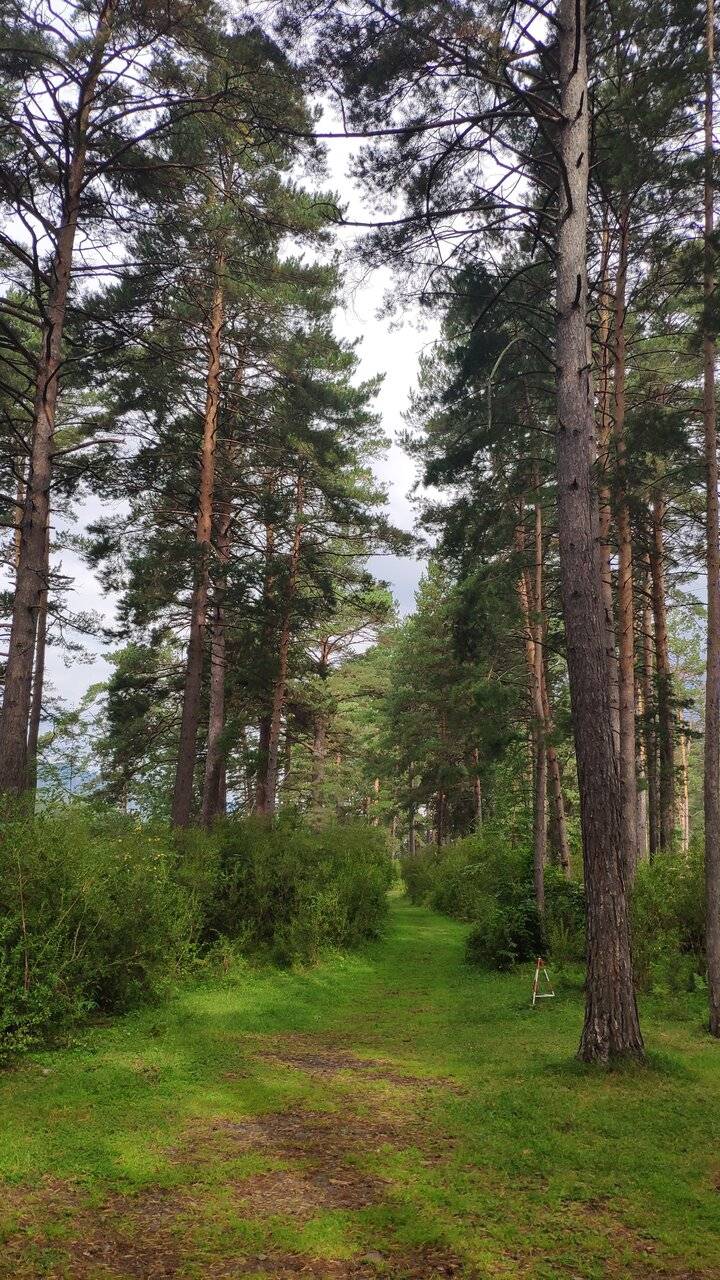 Фото Гостевого дома Усадьба Кругловых Чепош 87